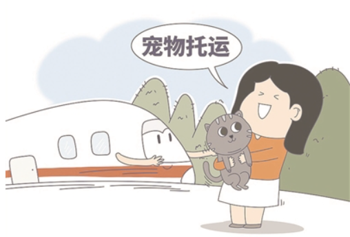 1770853821958567.jpg QQ20260212-074046.jpg