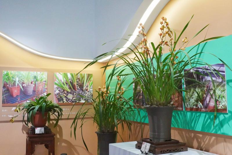 微信图片_20260215164134_21297_20(1).jpg