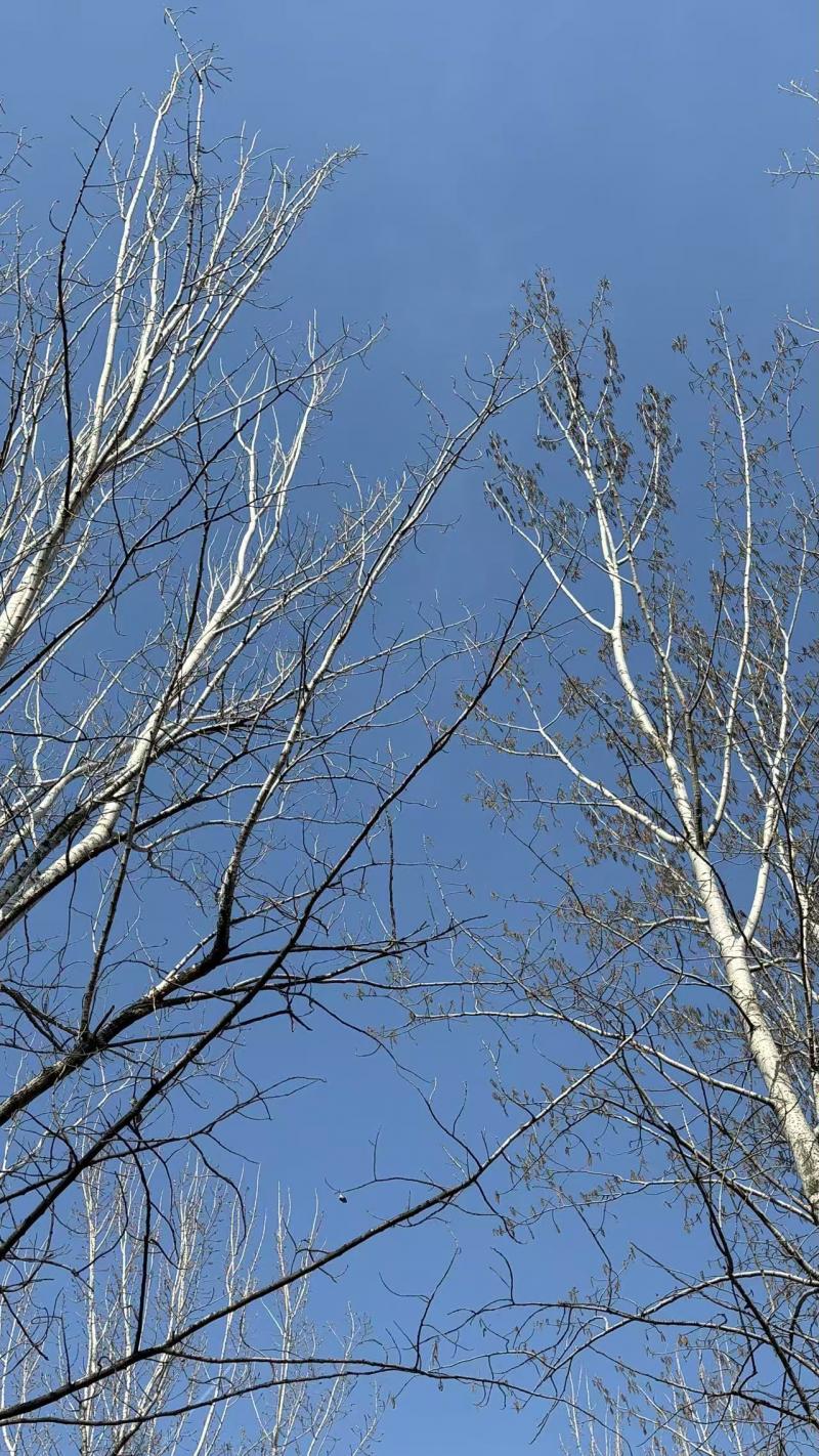 1774515994834913.jpg 微信图片_20260326160958_818_149.jpg