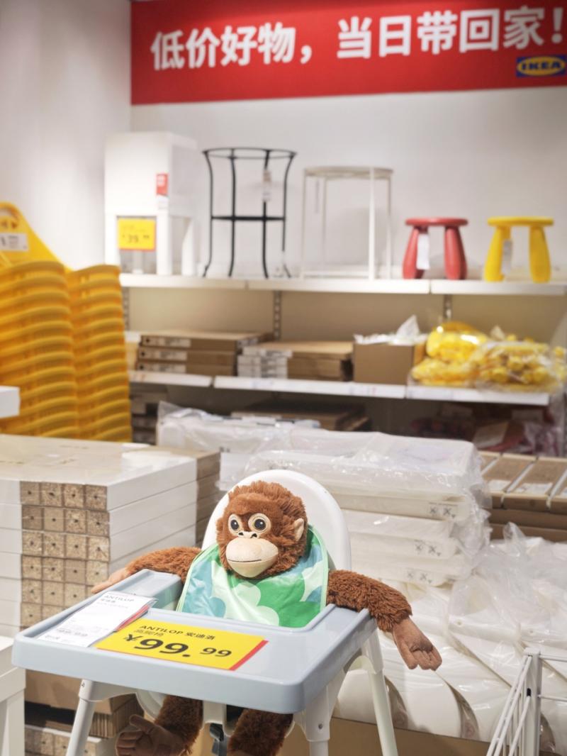 WechatIMG1378 大.jpeg