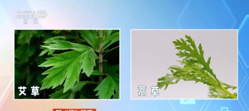 1781828377500043.jpg 360截图20260619081920219.jpg
