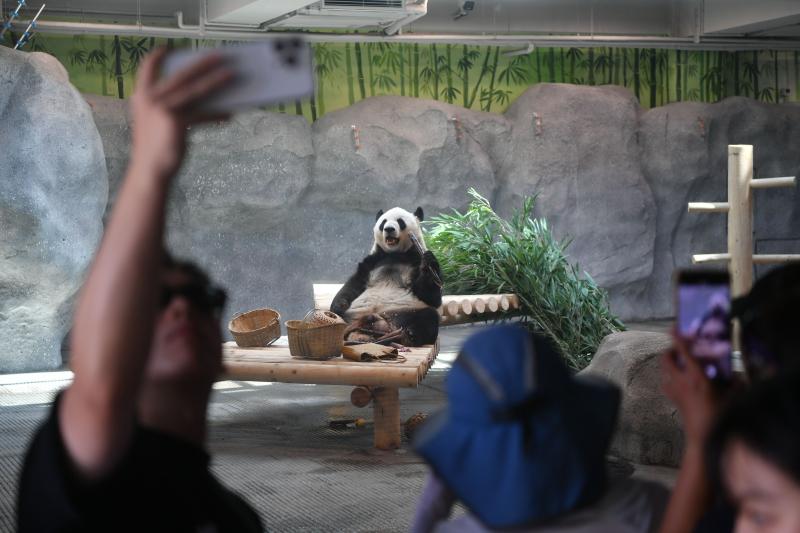 1784084491795544.jpg 微信图片_2026-07-15_110106_472.jpg