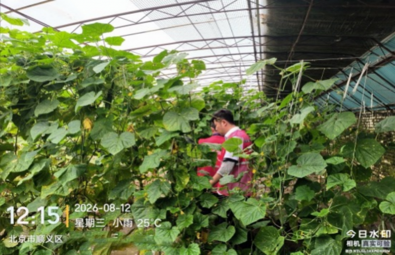 微信图片_20260812163537.png