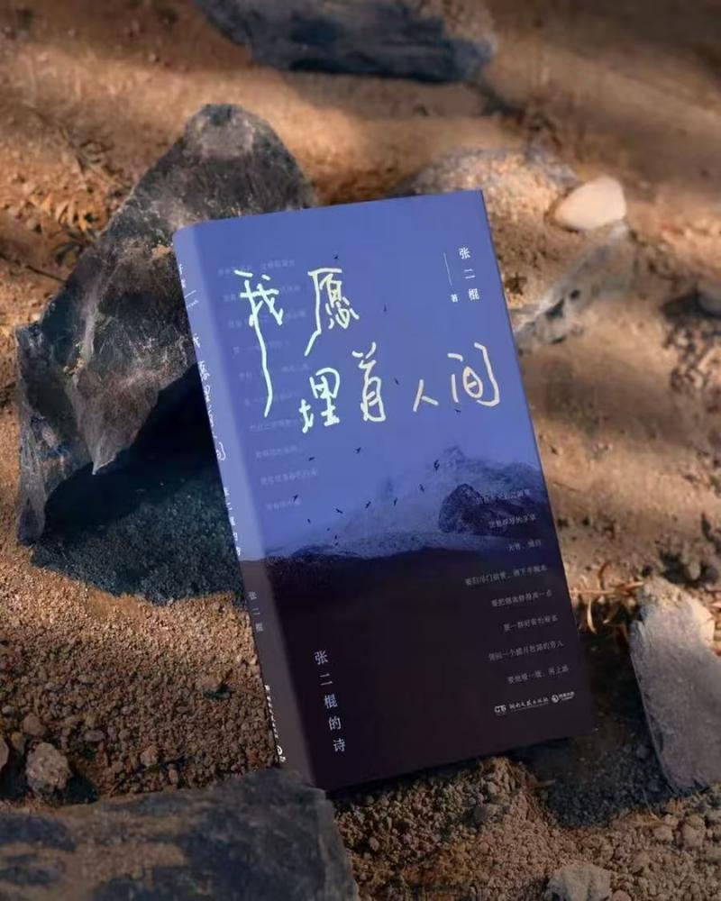 微信图片_20260903165722_6482_65.jpg