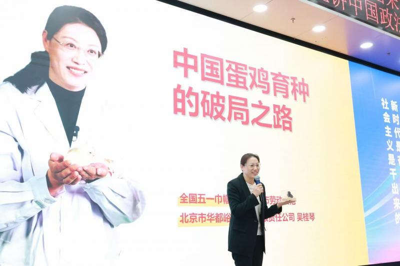 中国鸡.jpg