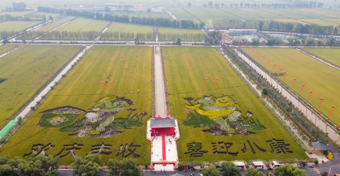 9月22日拍摄的天津市宝坻区八门城镇欢喜庄园内的多彩稻田画(无人机