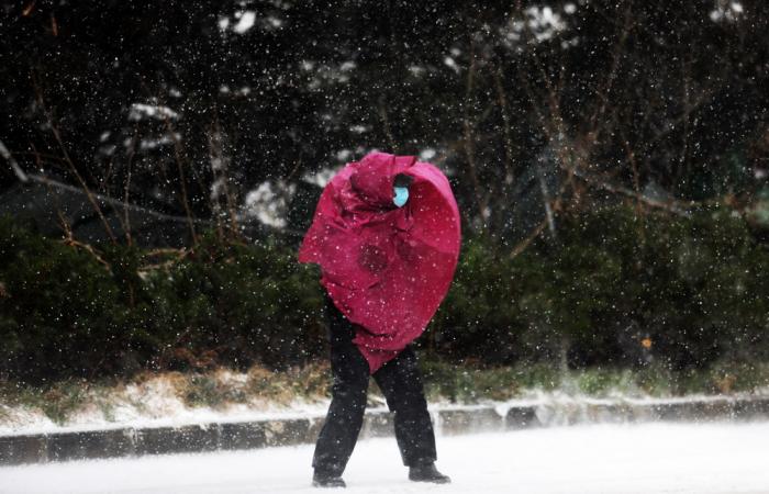 12月29日,在山东省临沂市郯城县街头,一名行人在风雪中艰难前行,雨衣