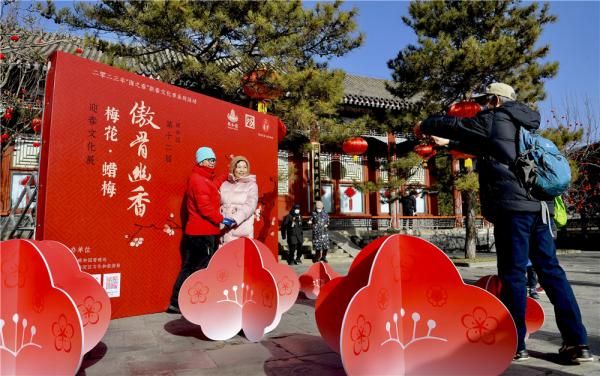 京城文化年为何这样红 | “双梅展”回归线下 颐和园12年雕琢品牌