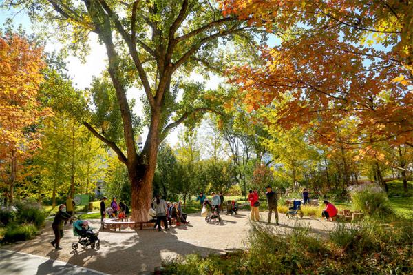 科技赋能“彩”色加码  北京彩叶观赏期延长近一周