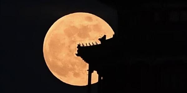 美图｜新年首轮满月映古桥 市民颐和园赏月