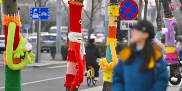 视点｜朝外大街“毛衣树”创意防寒成冬日打卡热点